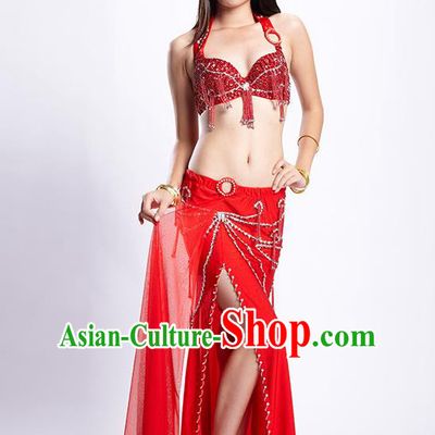 Top Grade Performance Clothing Belly Dance Red Dress Indian Oriental Dance Costume for Women