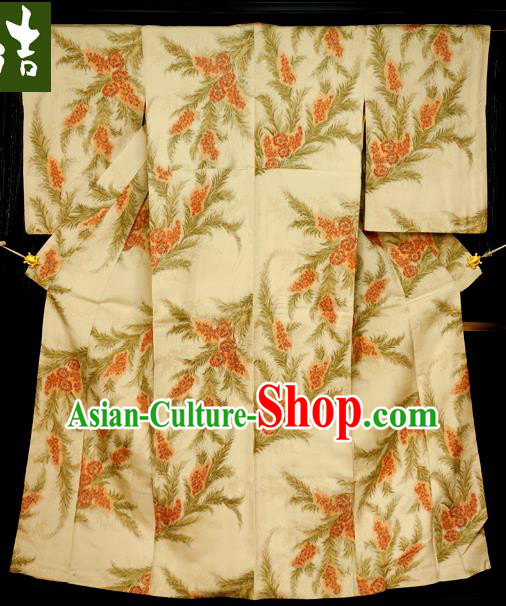Traditional Asian Japan Clothing Japanese Fashion Apparel Kimono Costume