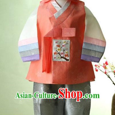 Korean Traditional Hanbok Clothing Korean Boys Hanbok Costumes for Kids