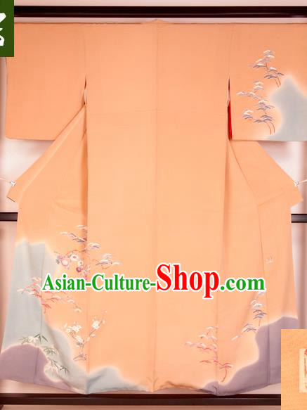 Traditional Asian Japan Clothing Japanese Fashion Apparel Kimono Costume