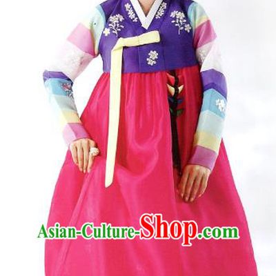 Korean Traditional Garment Palace Hanbok Purple Blouse and Rosy Dress Fashion Apparel Bride Costumes for Women