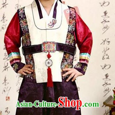 Korean Traditional Hanbok Clothing Korean Boys Hanbok Costumes White Shirt and Purple Pants for Kids