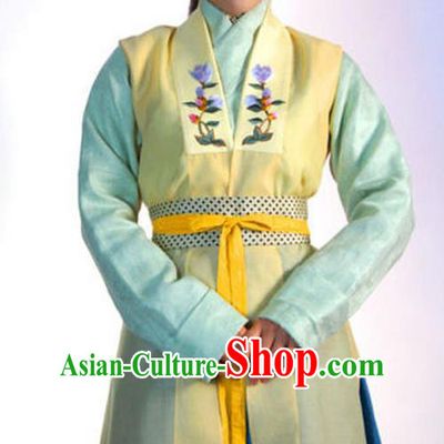 Ancient Chinese Ming Dynasty Historical Costume Nobility Lady Embroidered Replica Costume for Women