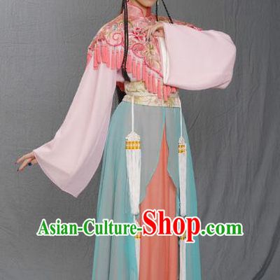Chinese Ancient Ming Dynasty Princess Embroidered Dress Costume for Women