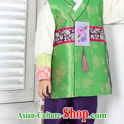 Asian Korean Hanbok Ancient Palace Boys Green Shirt and Purple Pants Traditional Costume for Kids