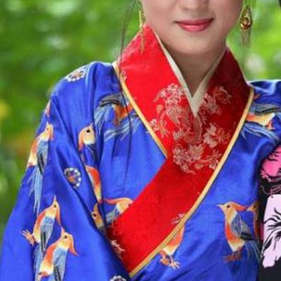 Chinese Ancient Song Dynasty Empress Zheng of Zhao Ji Embroidered Dress Replica Costume for Women