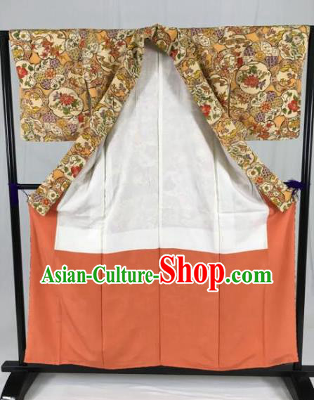 Traditional Asian Japan Clothing Japanese Fashion Apparel Kimono Costume Traditional Asian Japan Clothing Japanese Fashion Apparel Kimono Costume