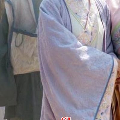 Chinese Ancient Song Dynasty Wife of Su Shi Wang Fu Replica Costume for Women
