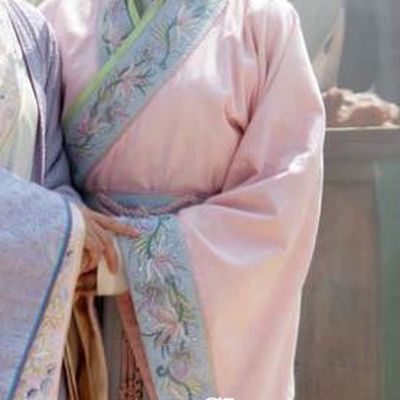 Chinese Ancient Song Dynasty Wife of Su Shi Wang Runzhi Replica Costume for Women