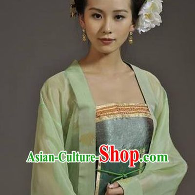 Chinese Ancient Southern Song Dynasty Palace Princess Replica Costume for Women