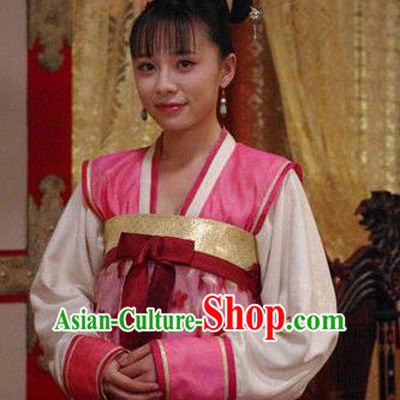 Chinese Traditional Tang Dynasty Palace Lady Court Maid Embroidered Dress Replica Costume for Women