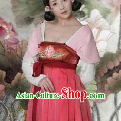 Ancient Chinese Tang Dynasty Palace Lady Wu Meiniang Hanfu Dress Replica Costume for Women