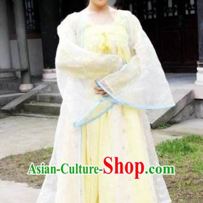 Ancient Chinese Tang Dynasty Princess Embroidered Hanfu Dress Replica Costume for Women