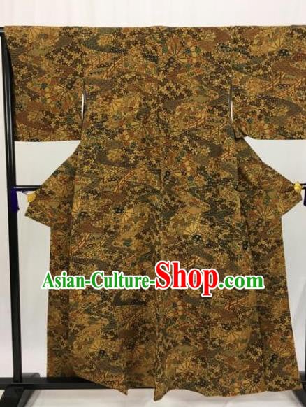 Traditional Asian Japan Clothing Japanese Fashion Apparel Kimono Costume
