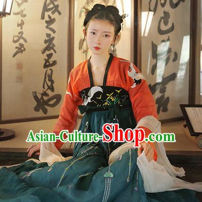 Chinese Ancient Tang Dynasty Royal Princess Costume Embroidered Hanfu Dress for Women