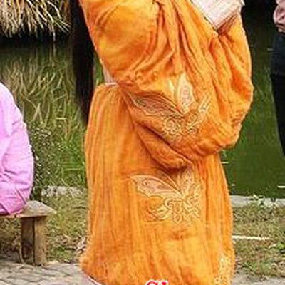 Ancient Chinese Han Dynasty Palace Lady Wang Zhaojun Curving-Front Robe Replica Costume for Women