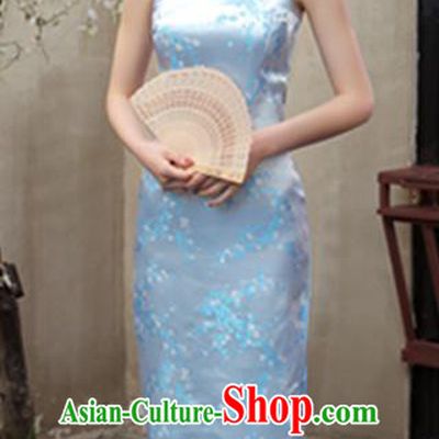 Top Grade Chinese National Costume Elegant Plum Blossom Brocade Cheongsam Tang Suit Blue Qipao Dress for Women
