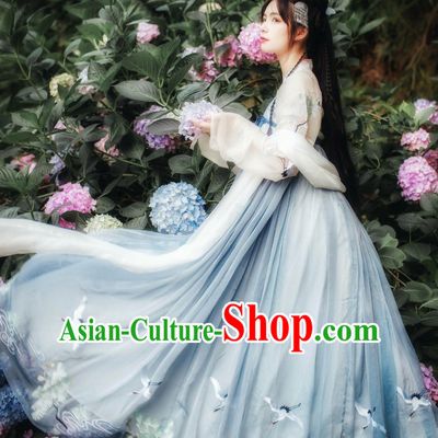 Chinese Classical Dancing Tang Dynasty Hanfu Clothing Complete Set for Women