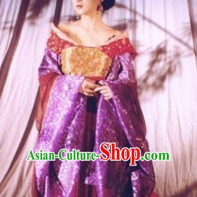 Traditional Chinese Ancient Tang Dynasty Princess Taiping Embroidered Replica Costume for Women