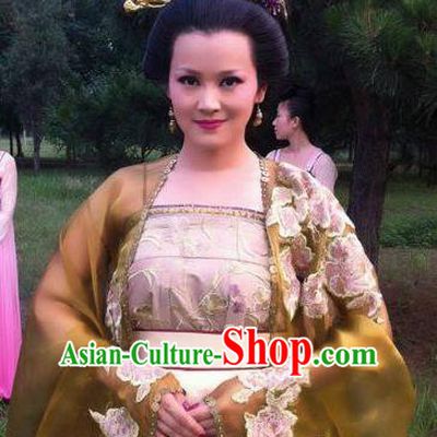 Traditional Chinese Ancient Tang Dynasty Empress Embroidered Replica Costume for Women