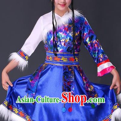 Traditional Chinese Zang Nationality Dance Costume, Chinese Folk Dance Ethnic Clothing Tibetan Minority Blue Dress for Women
