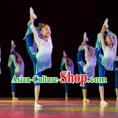 Top Grade Stage Performance Ballet Dance Costume, Professional Classical Dance Blue Dress for Kids