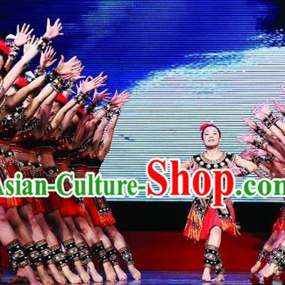 Traditional Chinese Folk Dance Embroidered Costume, China Ethnic Minority Dance Clothing for Women