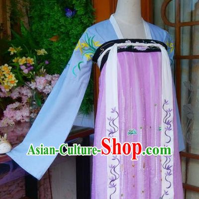 Chinese Traditional Tang Dynasty Young Lady Hanfu Dress Ancient Nobility Lady Embroidered Clothing for Women