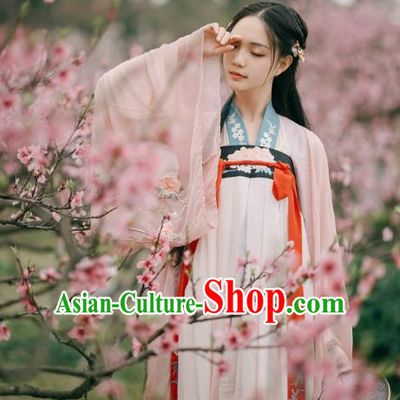 Ancient Chinese Tang Dynasty Princess Embroidered Costumes Complete Set for Women