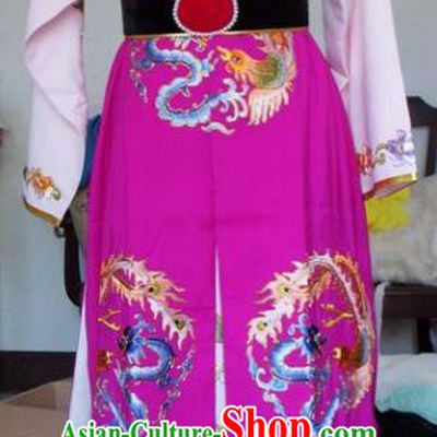 Chinese Traditional Shaoxing Opera Scholar Purple Clothing Peking Opera Niche Embroidered Costumes for Adults