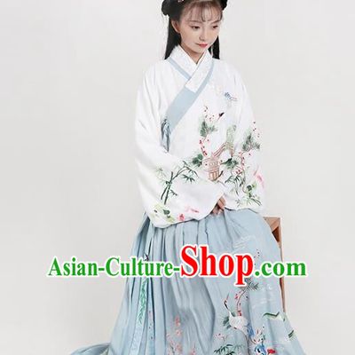 Chinese Ancient Ming Dynasty Princess Costumes Embroidered Hanfu Blouse and Skirt for Women