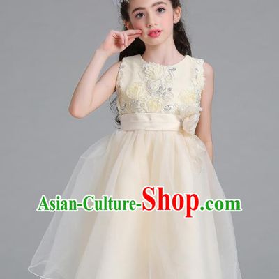 Children Models Show Compere Costume Stage Performance Catwalks Champagne Veil Full Dress for Kids