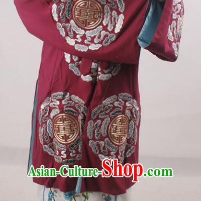 Professional Chinese Beijing Opera Pantaloon Embroidered Costumes for Adults