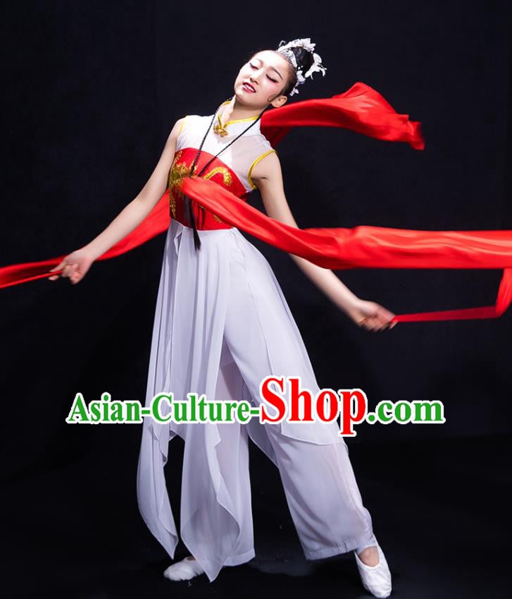 Traditional Chinese Fan Dance Folk Dance Costume Classical Yangko Dance Classical Dance Dress Traditional Chinese Fan Dance Folk Dance Costume Classical Yangko Dance Classical Dance Dress