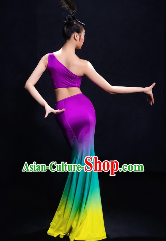 Traditional Chinese Fan Dance Folk Dance Costume Classical Yangko Dance Classical Dance Dress Traditional Chinese Fan Dance Folk Dance Costume Classical Yangko Dance Classical Dance Dress