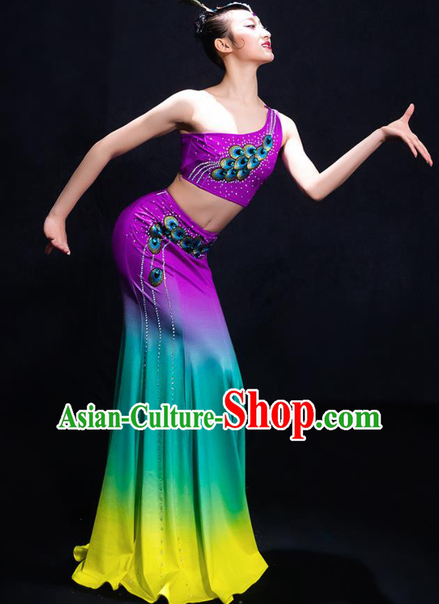 Traditional Chinese Fan Dance Folk Dance Costume Classical Yangko Dance Classical Dance Dress Traditional Chinese Fan Dance Folk Dance Costume Classical Yangko Dance Classical Dance Dress