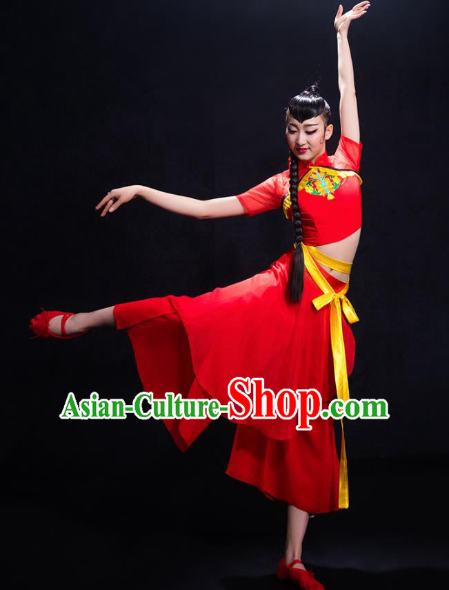 Traditional Chinese Fan Dance Folk Dance Costume Classical Yangko Dance Classical Dance Dress Traditional Chinese Fan Dance Folk Dance Costume Classical Yangko Dance Classical Dance Dress