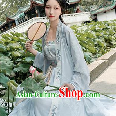 Chinese Traditional Song Dynasty Young Lady Costume Ancient Embroidered Hanfu Dress for Women