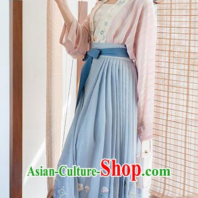 Traditional Chinese Song Dynasty Young Lady Costumes Ancient Embroidered Hanfu Dress for Women