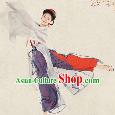Top Grade Chinese Ancient Costumes Song Dynasty Young Lady Silk Hanfu Dress for Women