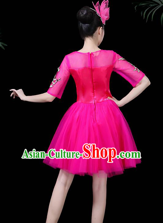 Traditional Chinese Fan Dance Folk Dance Costume Classical Yangko Dance Classical Dance Dress