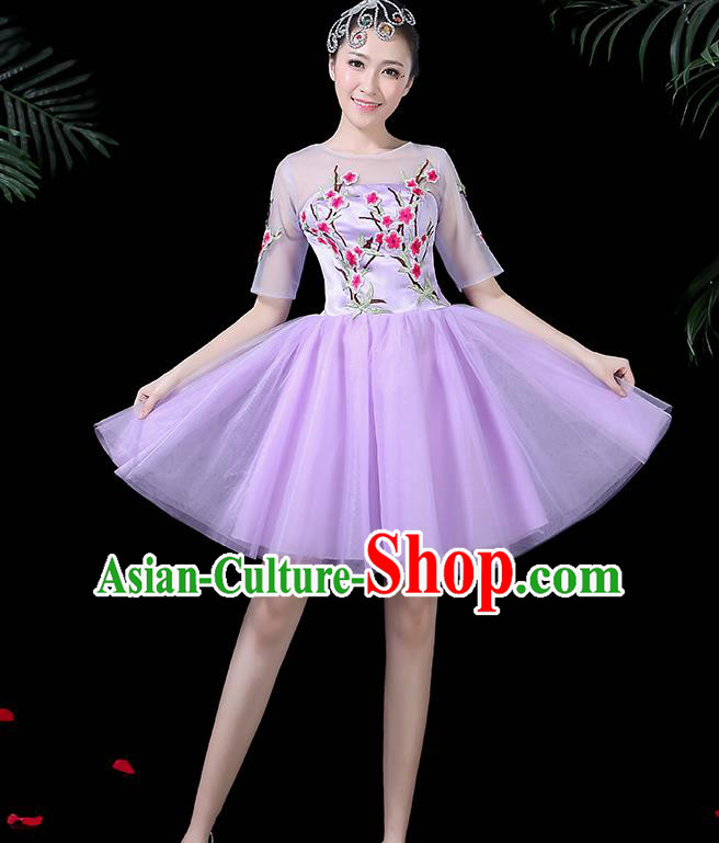 Traditional Chinese Fan Dance Folk Dance Costume Classical Yangko Dance Classical Dance Dress