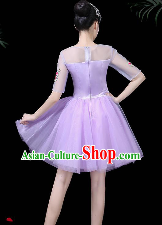 Traditional Chinese Fan Dance Folk Dance Costume Classical Yangko Dance Classical Dance Dress