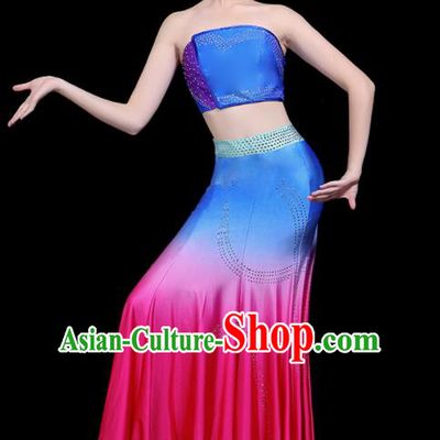 Chinese Traditional Peacock Dance Dress Dai Minority Folk Dance National Costume for Women