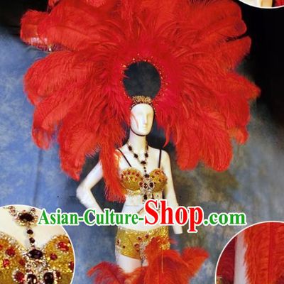 Halloween Catwalks Stage Show Samba Costumes Brazilian Carnival Parade Clothing and Red Feather Headwear for Women