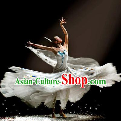 Chinese Traditional Dai Nationality Group Dance Costumes Classical Dance Stage Performance Dress for Women