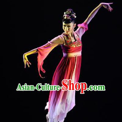 Chinese Traditional Classical Dance Group Dance Costumes Stage Performance Hanfu Dress for Women