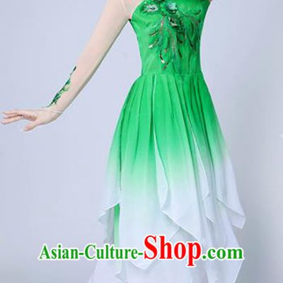 Chinese Traditional Classical Dance Costumes Stage Performance Dance Green Dress for Women