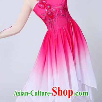 Chinese Traditional Classical Dance Costumes Stage Performance Dance Rosy Dress for Women