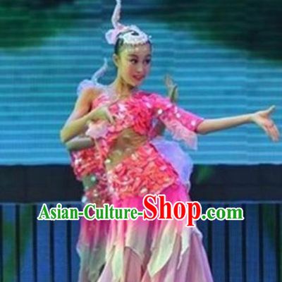 Traditional Chinese Folk Dance Fish Dance Costume Fan Dance Stage Show Pink Dress for Women